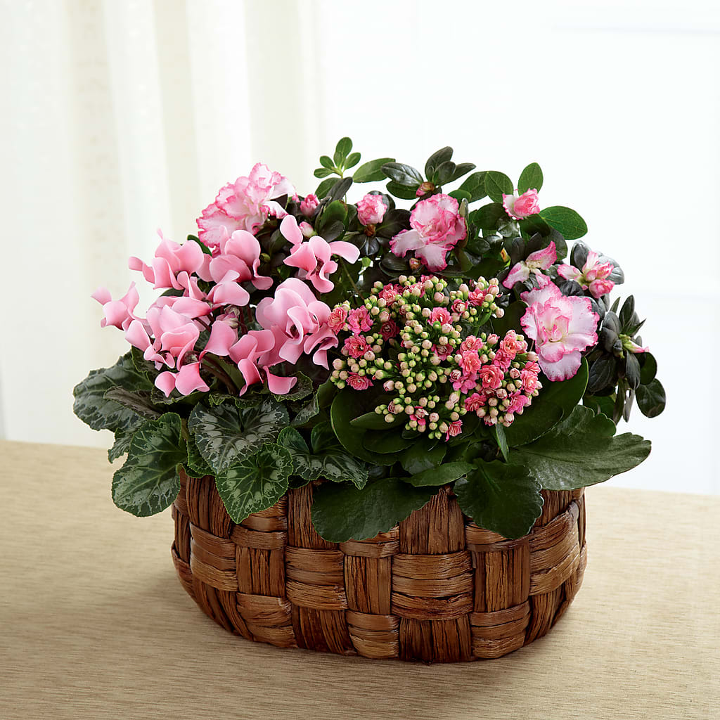 Pink Assortment – Ruiz Creationz Llc, Miami FL