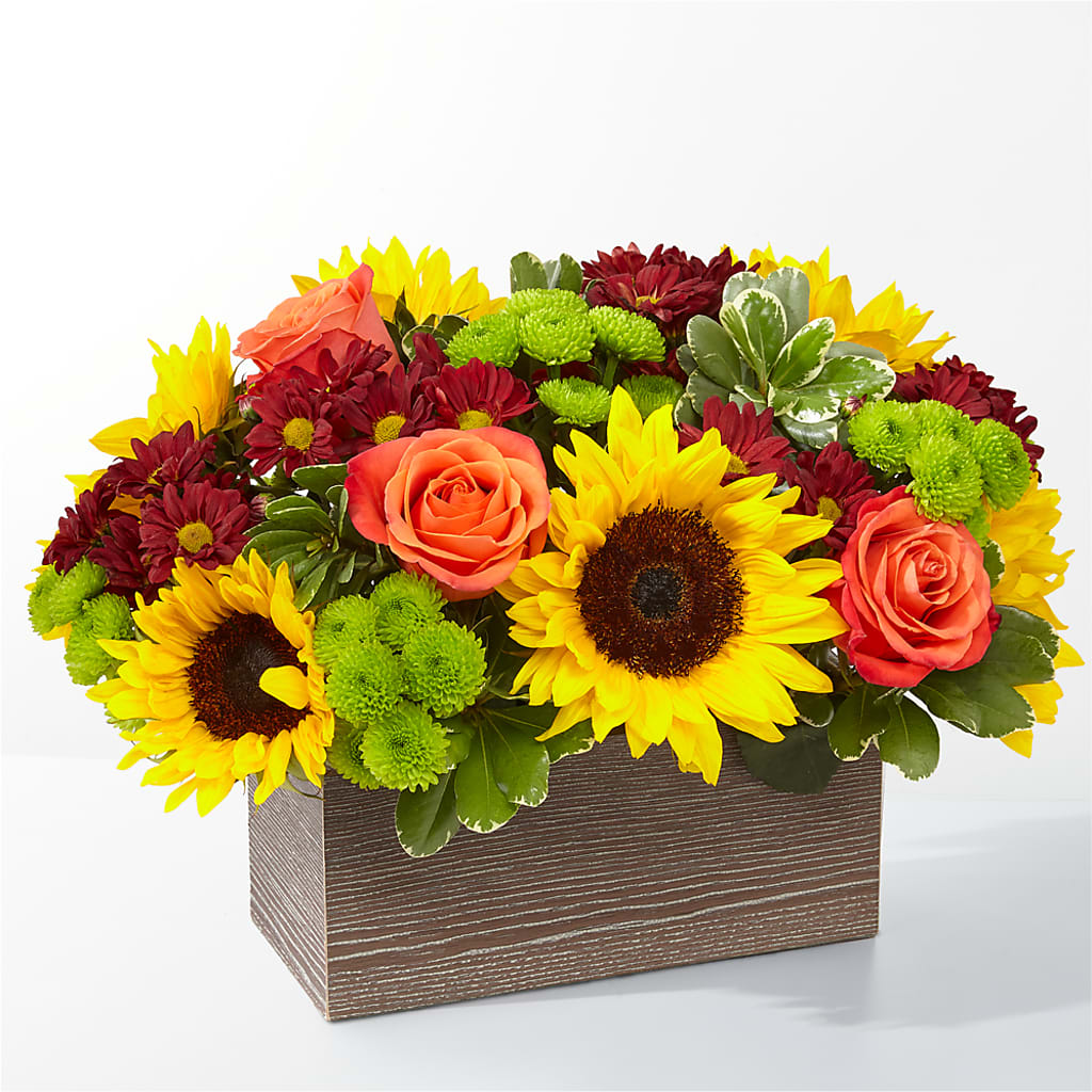 Happy Harvest Garden – Ruiz Creationz Llc, Miami FL