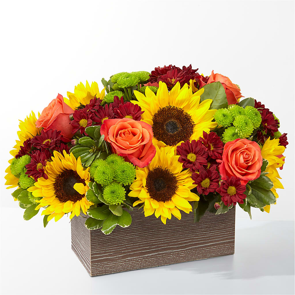 Happy Harvest Garden – Ruiz Creationz Llc, Miami FL