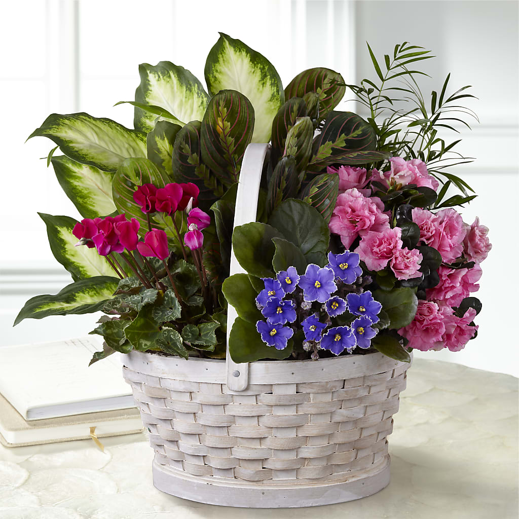 Peaceful Garden Planter – Ruiz Creationz Llc, Miami FL
