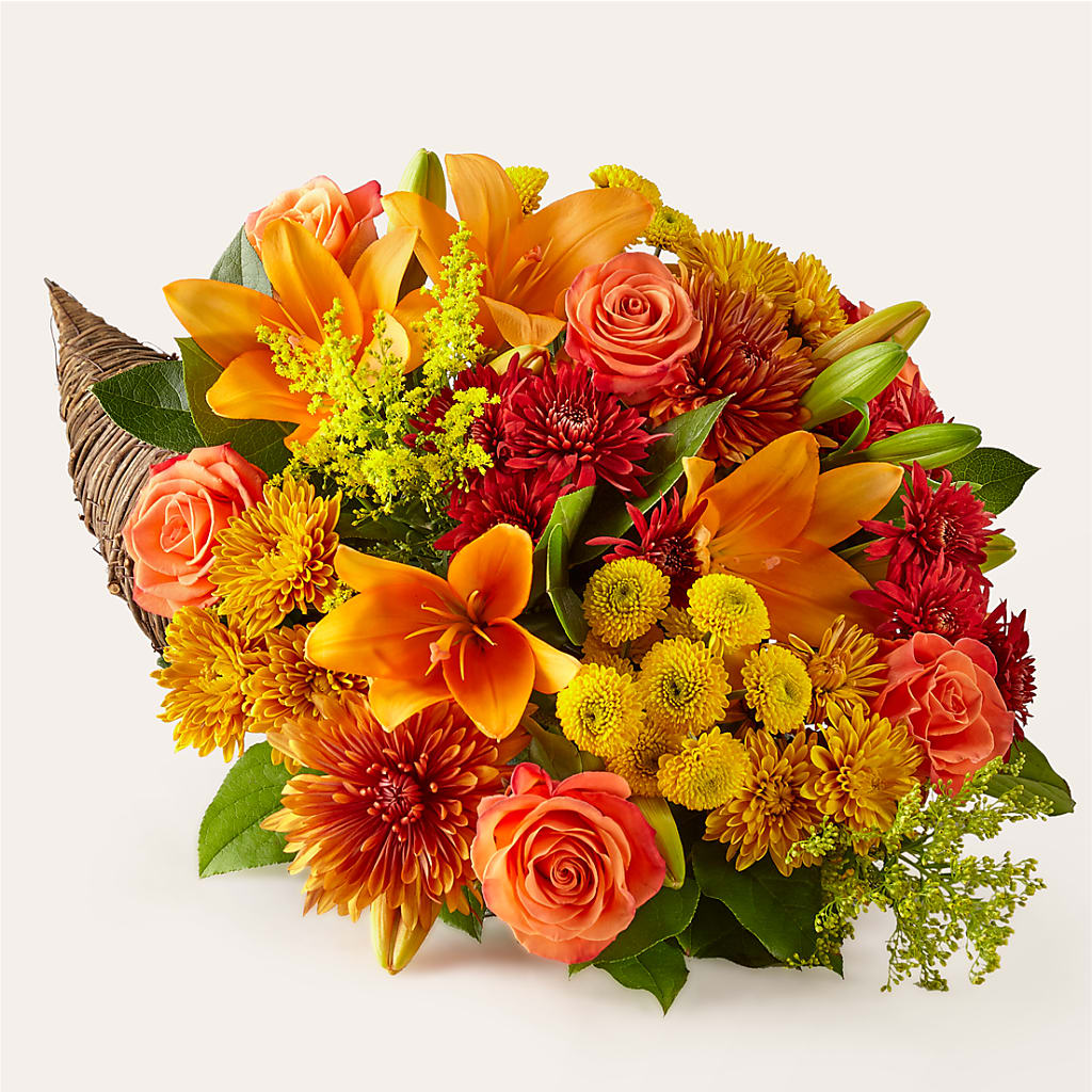Feast of Color Cornucopia – Ruiz Creationz Llc, Miami FL