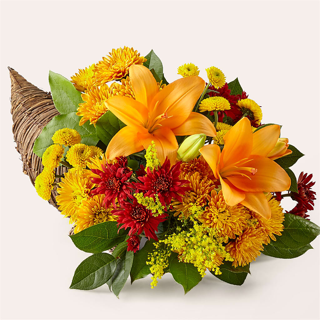 Feast of Color Cornucopia – Ruiz Creationz Llc, Miami FL