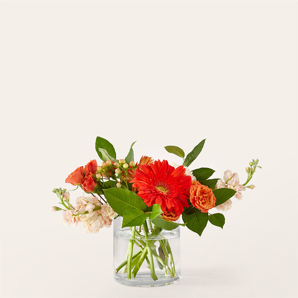 Paloma Please Bouquet – Ruiz Creationz Llc, Miami FL