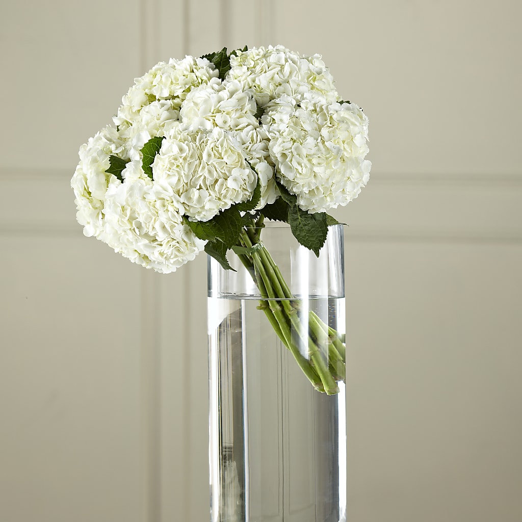 White Hydrangea Hand-Tied Bouquet – Ruiz Creationz Llc, Miami FL