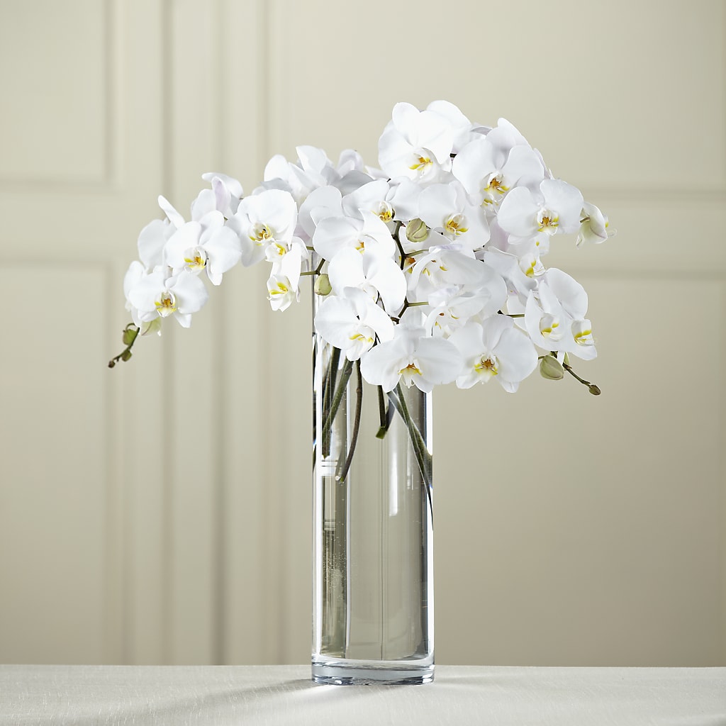 White Phalaenopsis Bouquet – Ruiz Creationz Llc, Miami FL