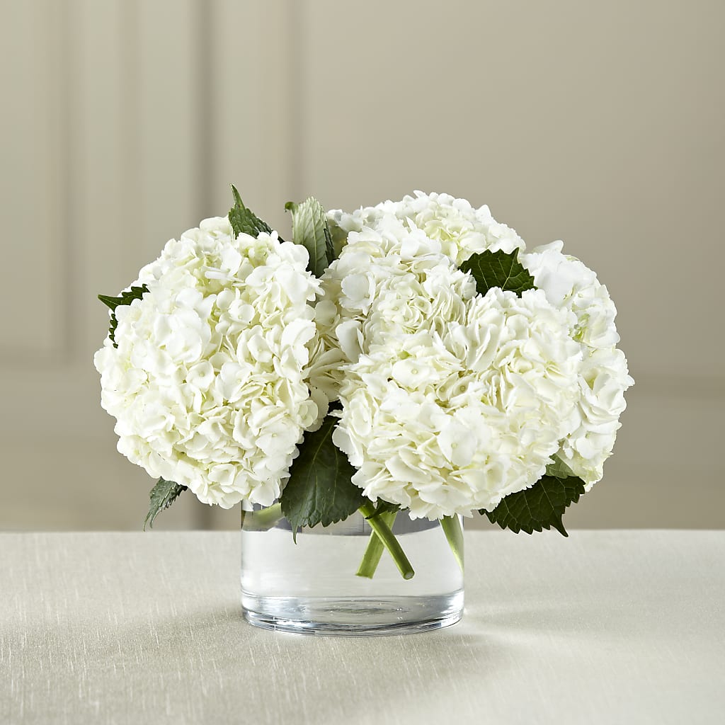 White Hydrangea Bouquet – Ruiz Creationz Llc, Miami FL