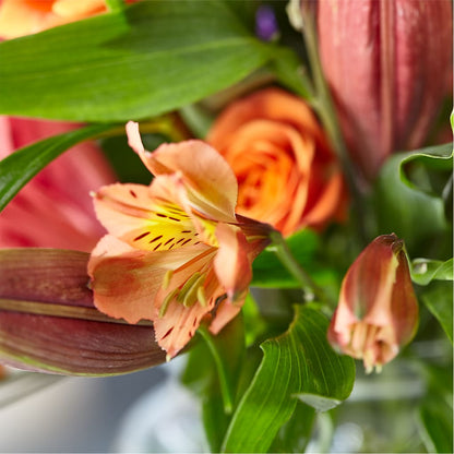 Bold & Bright – A Florist Original –  Ruiz Creationz Llc, Miami FL
