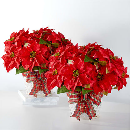Happiest Holidays Poinsettia Bundle –  Ruiz Creationz Llc, Miami FL