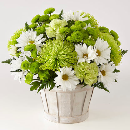Lucky Charm Basket (Standard) –  Ruiz Creationz Llc, Miami FL