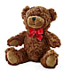 Adorable Plush Bear –  Ruiz Creationz Llc, Miami FL