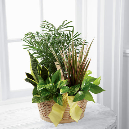 French Garden –  Ruiz Creationz Llc, Miami FL