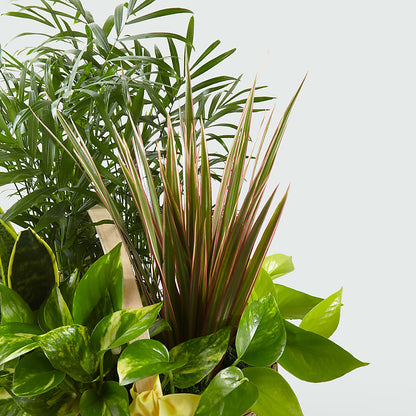 French Garden –  Ruiz Creationz Llc, Miami FL