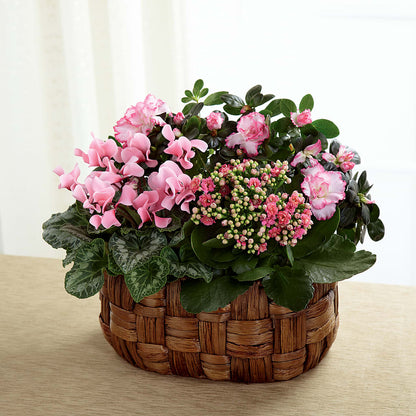 Pink Assortment –  Ruiz Creationz Llc, Miami FL