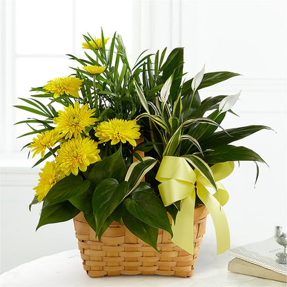 Loving Light Dishgarden –  Ruiz Creationz Llc, Miami FL