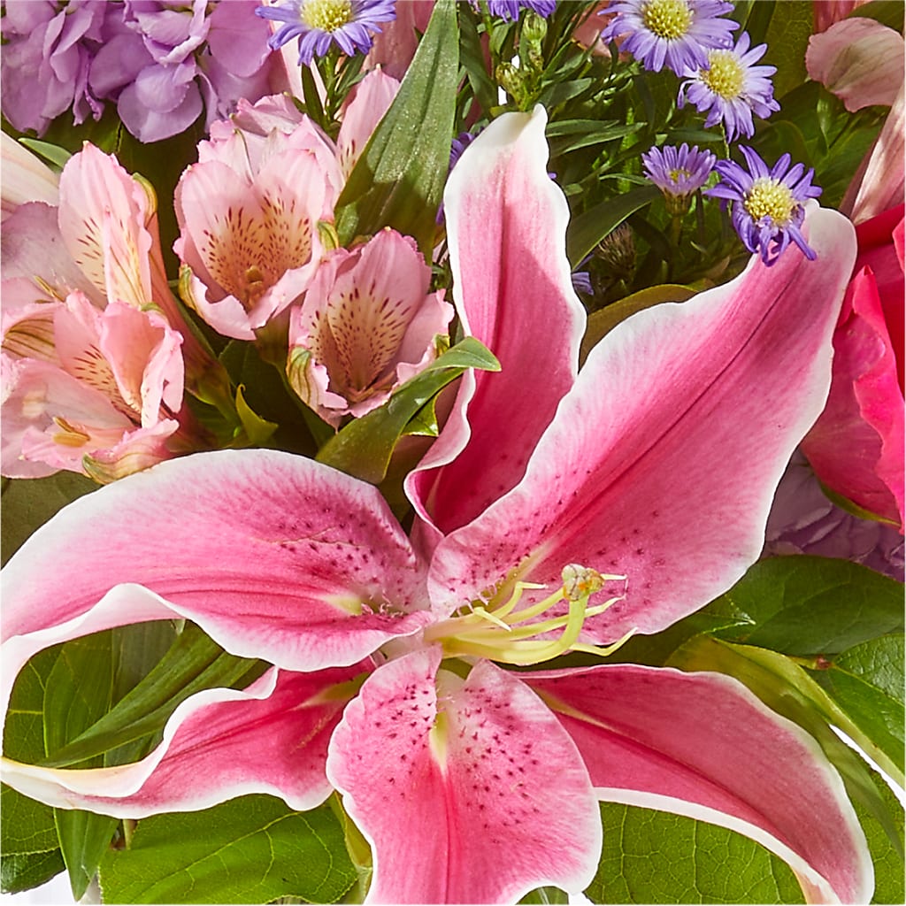 Written in the Stars Bouquet –  Ruiz Creationz Llc, Miami FL
