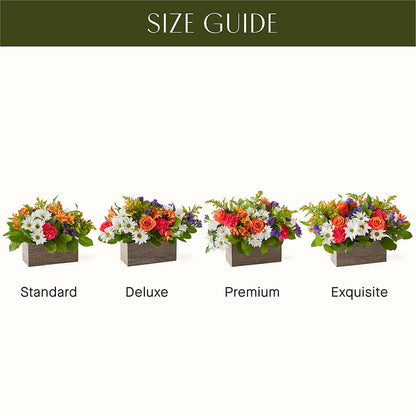 Oopsie Daisy Box Bouquet –  Ruiz Creationz Llc, Miami FL