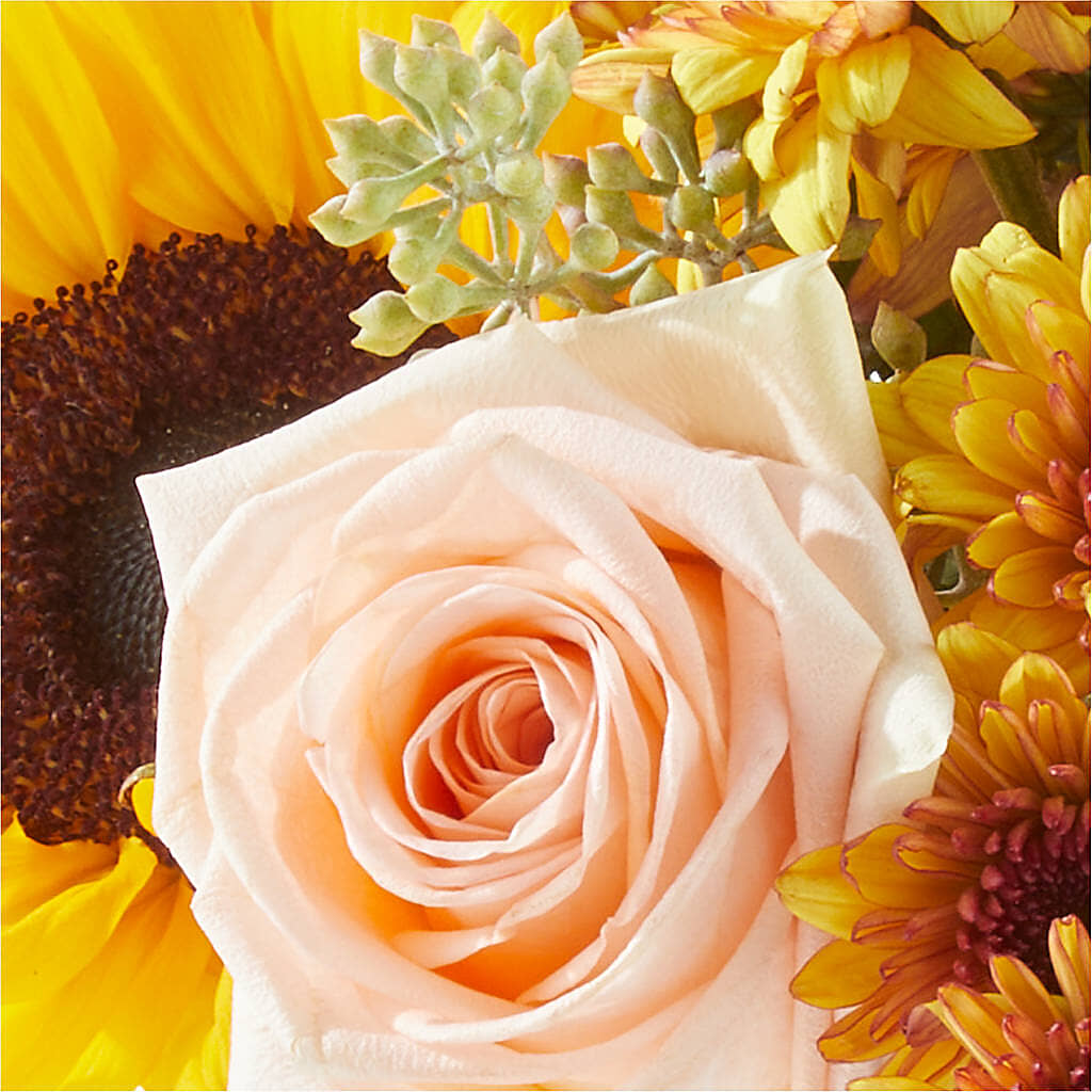 Pumpkin to Talk About Bouquet –  Ruiz Creationz Llc, Miami FL