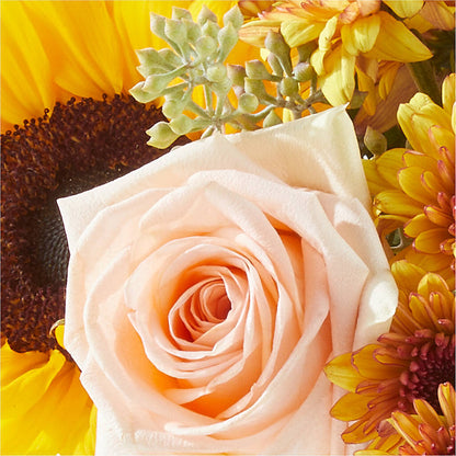 Pumpkin to Talk About Bouquet –  Ruiz Creationz Llc, Miami FL