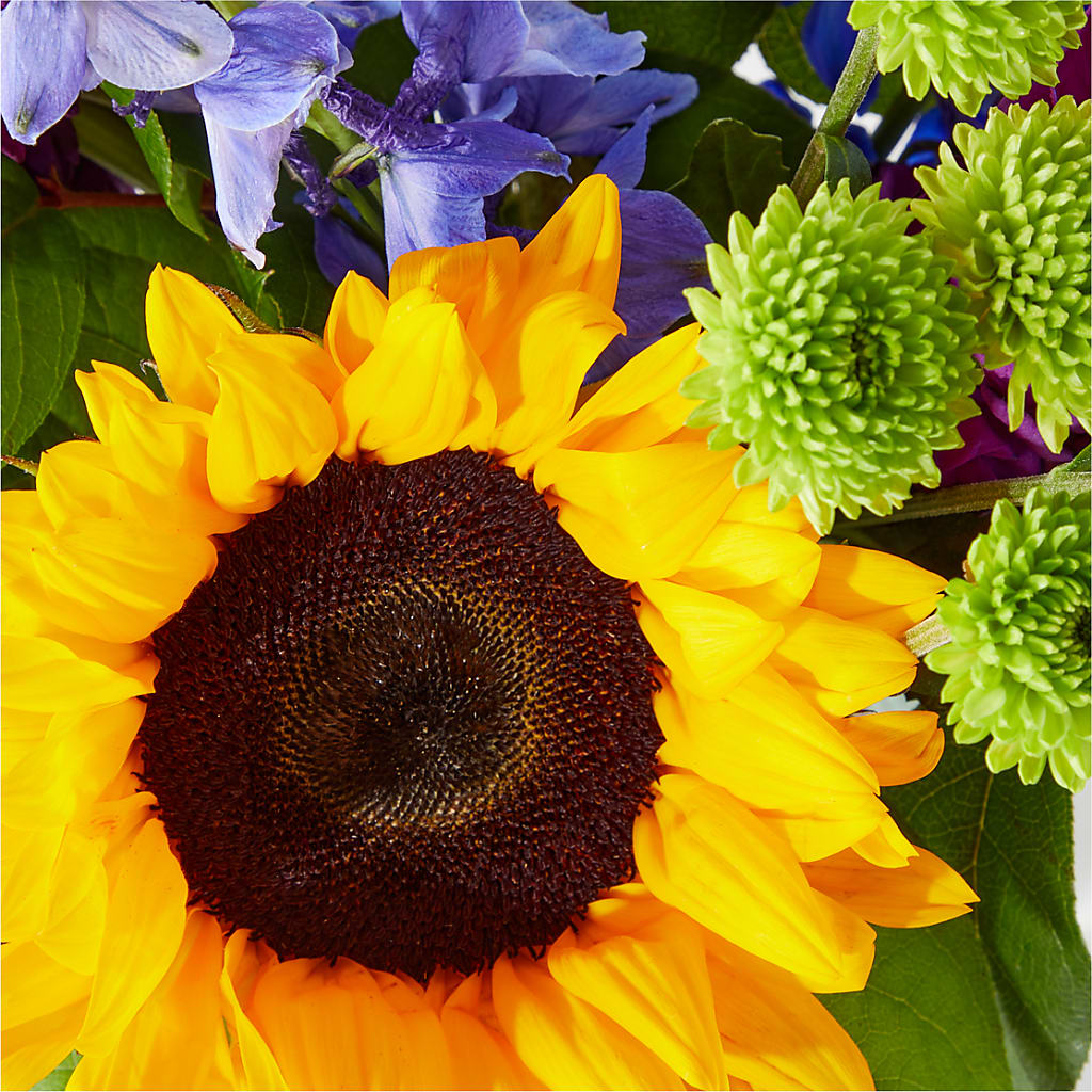 Catching Rays Bouquet –  Ruiz Creationz Llc, Miami FL