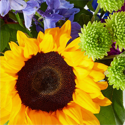 Catching Rays Bouquet –  Ruiz Creationz Llc, Miami FL