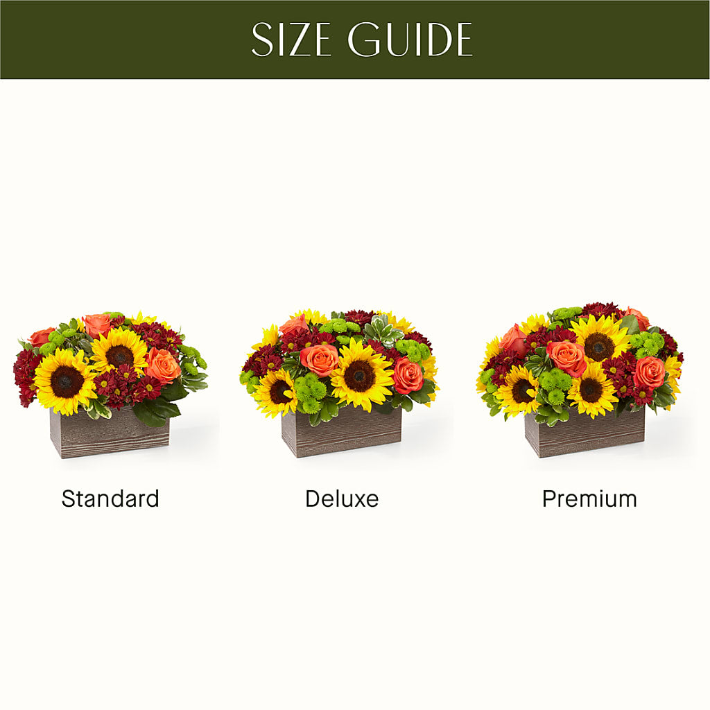 Happy Harvest Garden –  Ruiz Creationz Llc, Miami FL