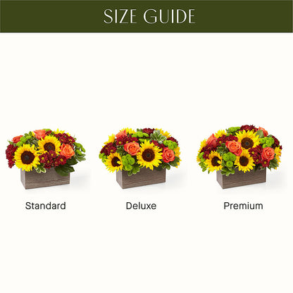 Happy Harvest Garden –  Ruiz Creationz Llc, Miami FL