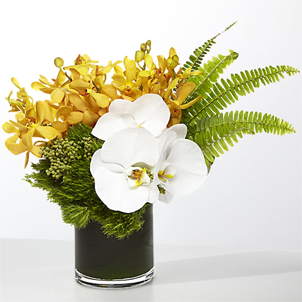 The Tropics –  Ruiz Creationz Llc, Miami FL