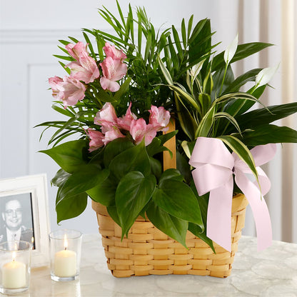 Living Spirit Dishgarden –  Ruiz Creationz Llc, Miami FL