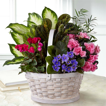 Peaceful Garden Planter –  Ruiz Creationz Llc, Miami FL