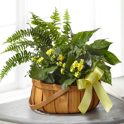 Always Dear Dishgarden –  Ruiz Creationz Llc, Miami FL