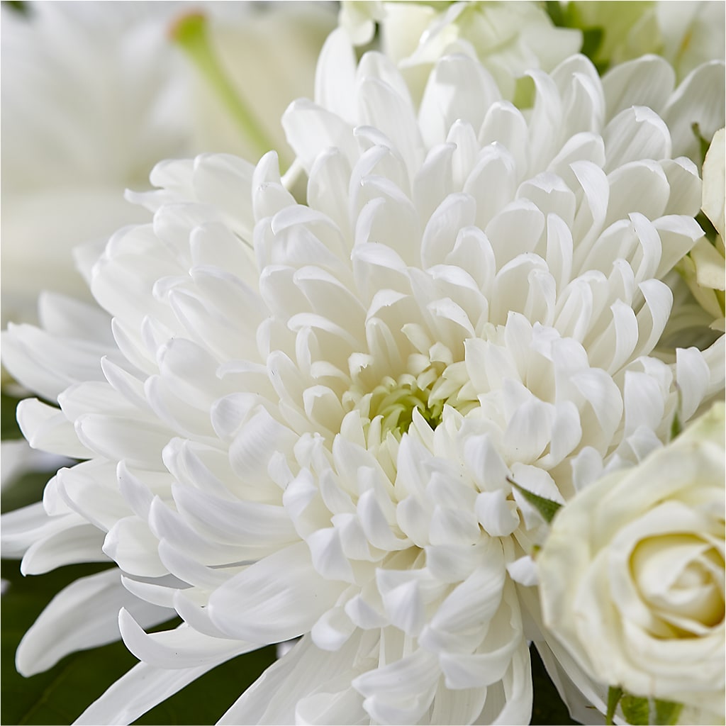 Classic Ivory – A Florist Original –  Ruiz Creationz Llc, Miami FL