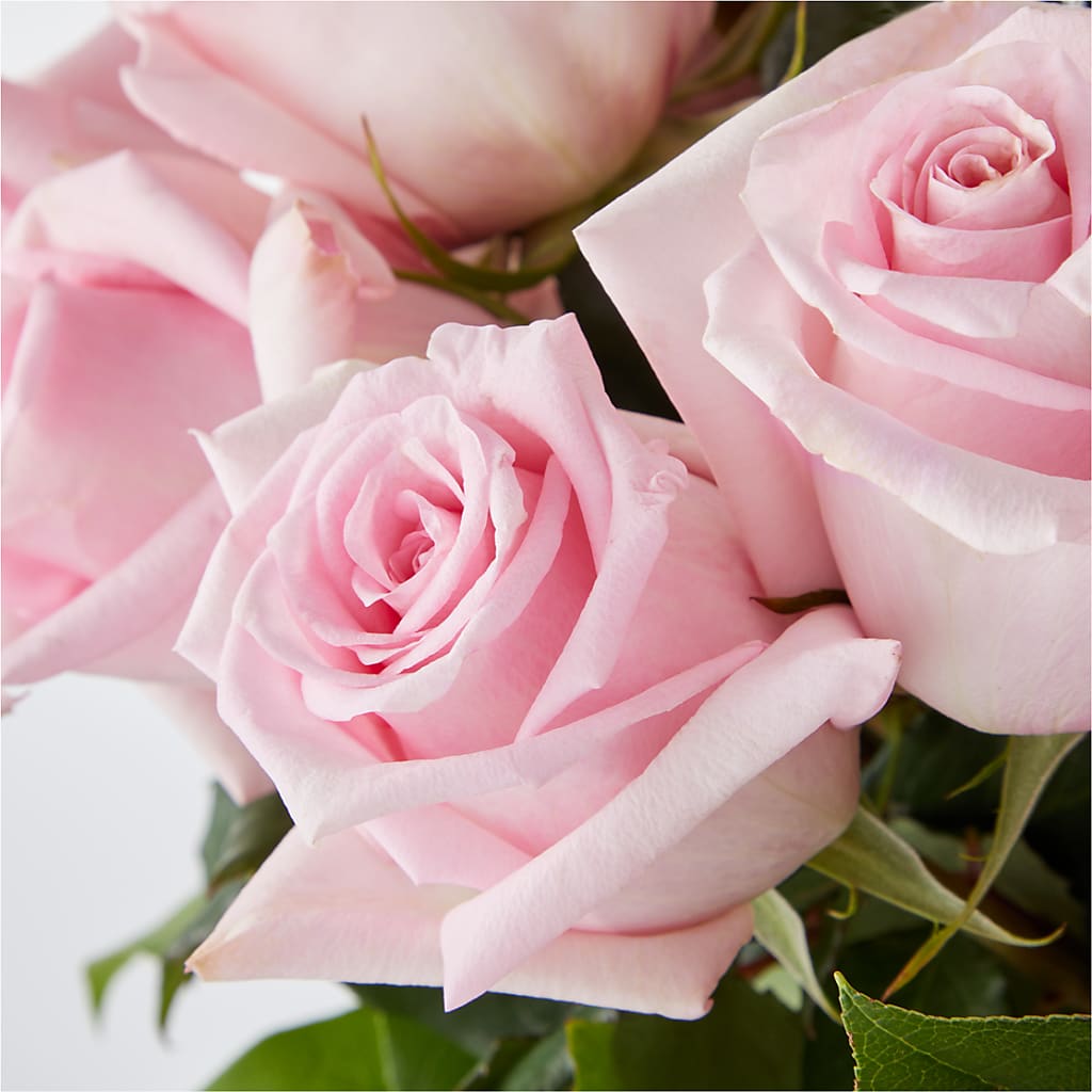 Picture Perfect Pink Rose Bouquet –  Ruiz Creationz Llc, Miami FL