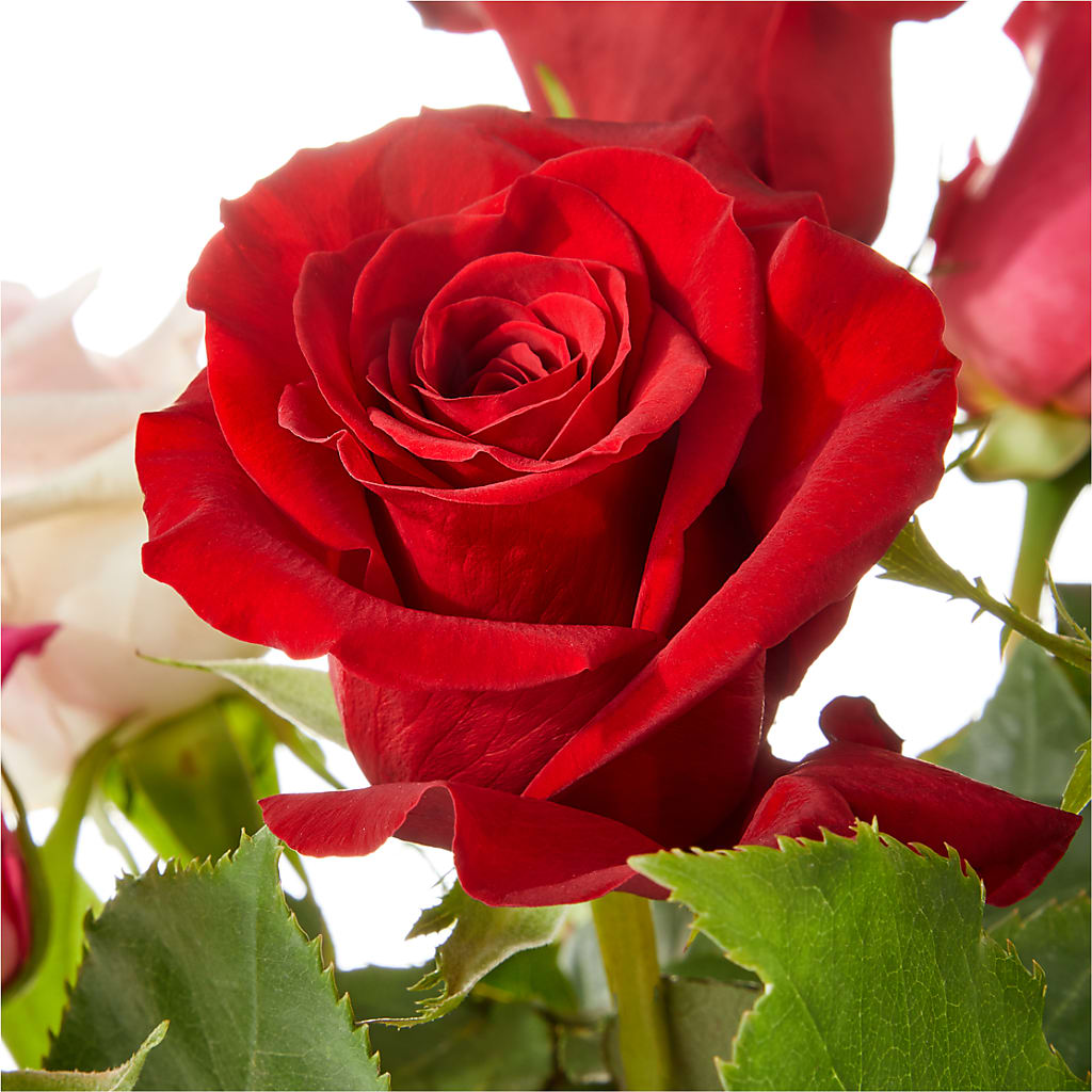 Love Notes Rose Bouquet –  Ruiz Creationz Llc, Miami FL