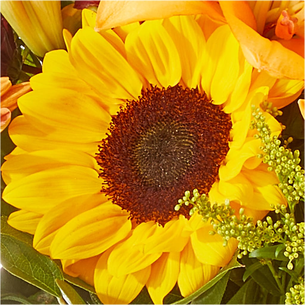 Seasons Change Bouquet –  Ruiz Creationz Llc, Miami FL