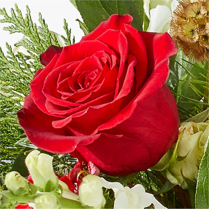 Deck the Halls Bouquet –  Ruiz Creationz Llc, Miami FL