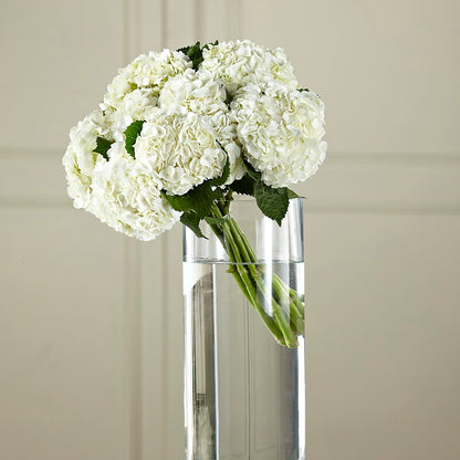 White Hydrangea Hand-Tied Bouquet –  Ruiz Creationz Llc, Miami FL