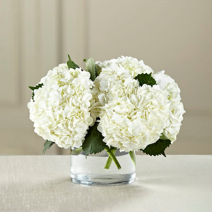 White Hydrangea Bouquet –  Ruiz Creationz Llc, Miami FL